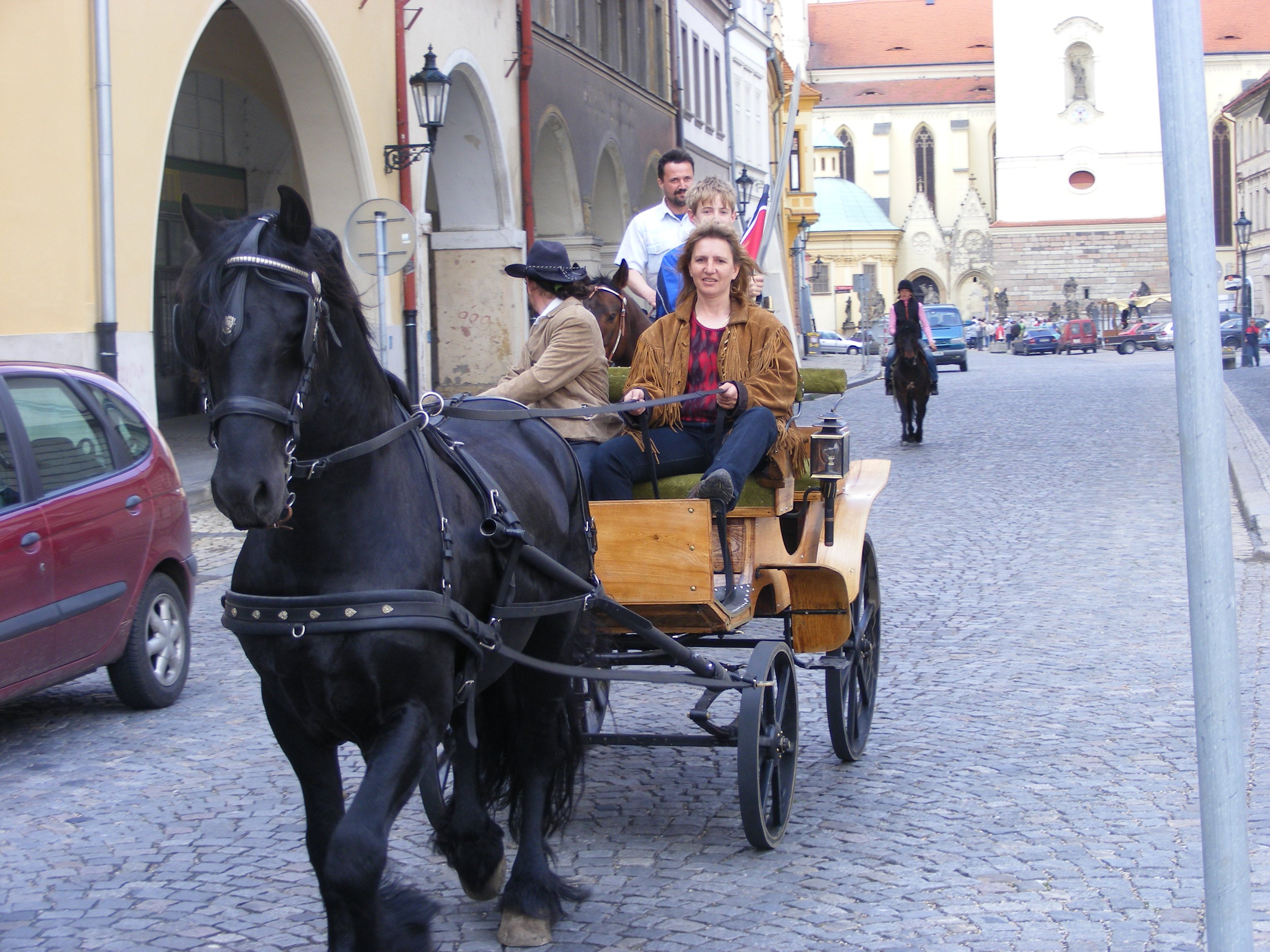 Poprvé v zápřahu